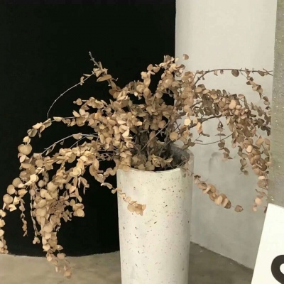 Furry兽设临摹素材兽圈社群